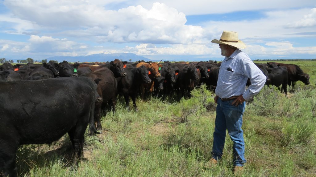Grazing management in the San Luis Valley CO