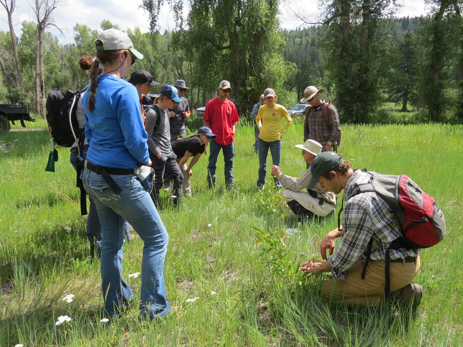 Western Ranch Management and Ecosystem Stewardship Western Ranch