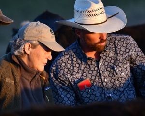 Temple Grandin works with a Rancher