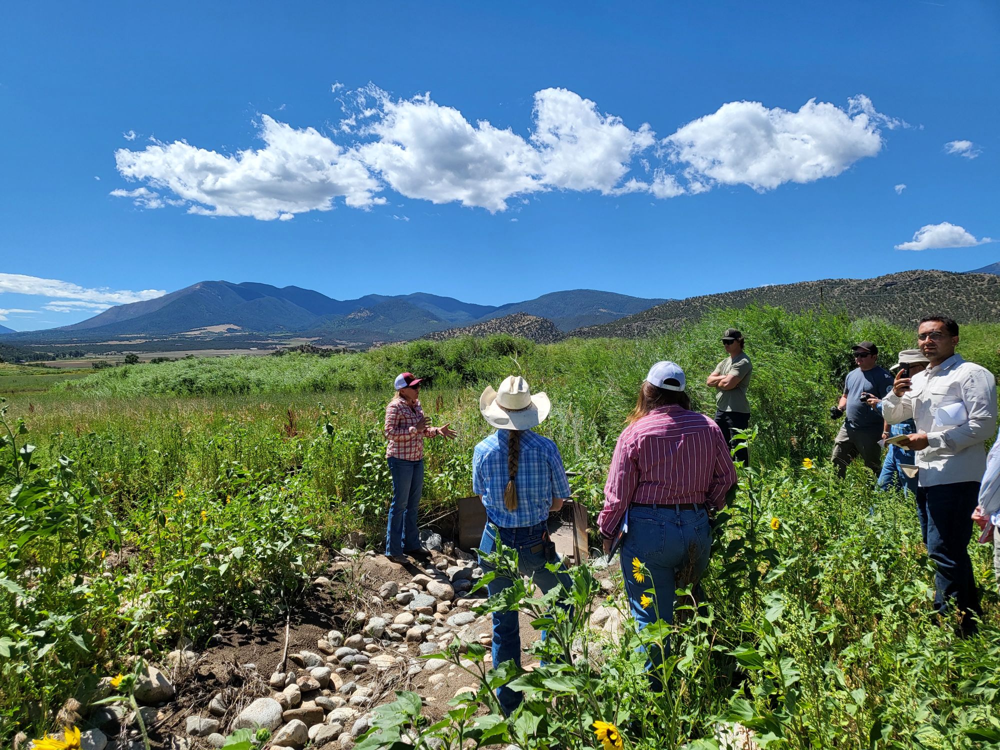 Western Ranch Management and Ecosystem Stewardship