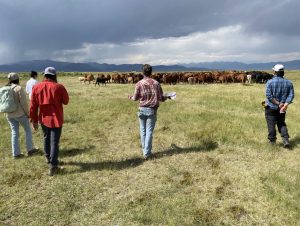 Students with cattle