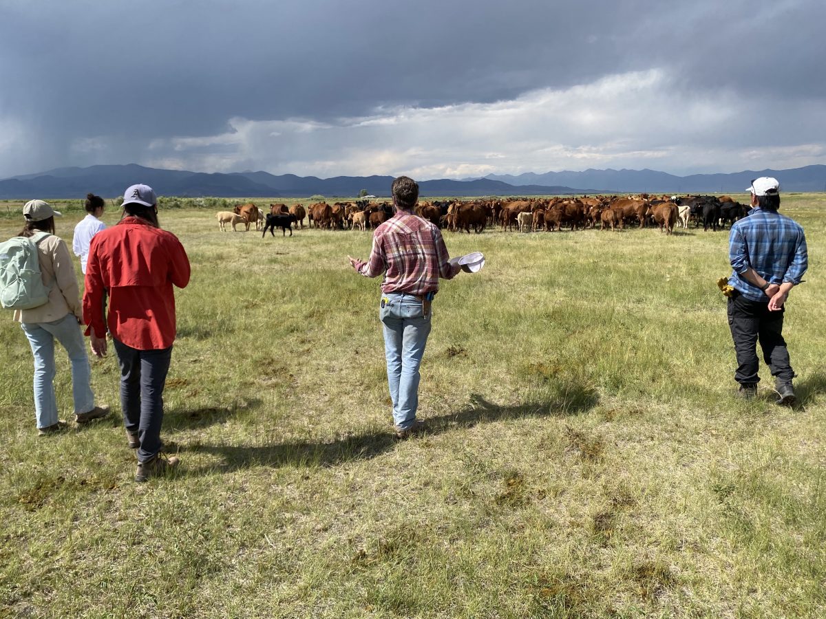 Western Ranch Management and Ecosystem Stewardship